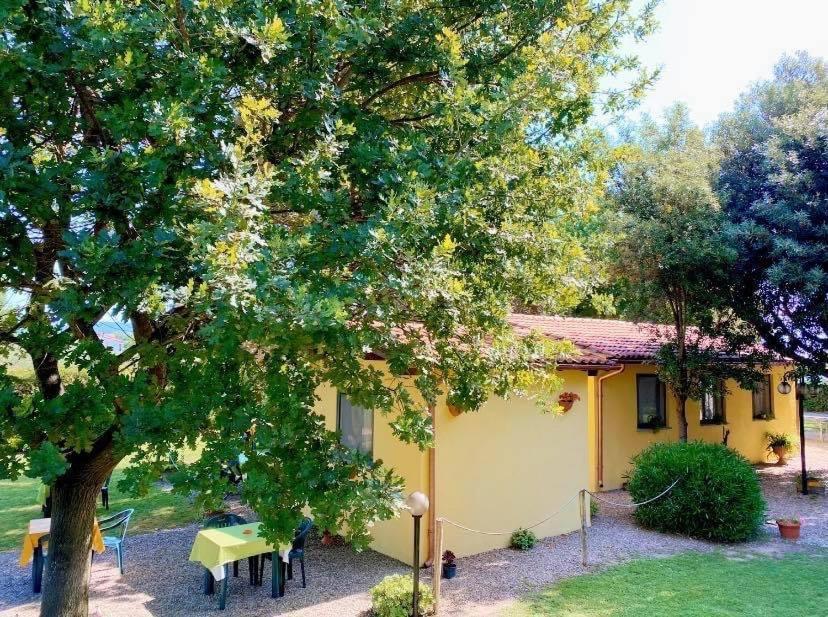 Il Melarancio Bed & Breakfast Pescia Romana Exterior photo